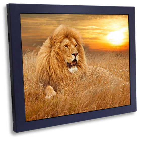 19″ Bestech Multi Resolution LCD Display